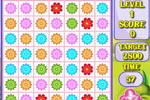 漂亮花儿对对碰