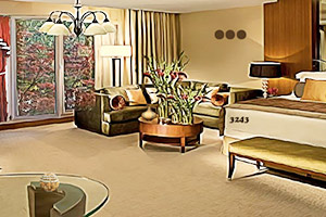 整洁的客房逃脱