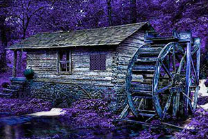 男孩逃出昏暗森林木屋