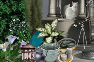 神秘花园找东西