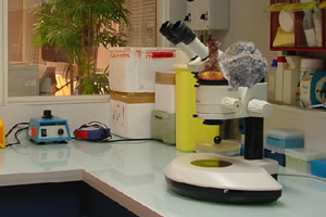 物理实验室逃生