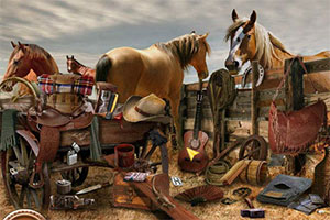 牛仔房屋找东西