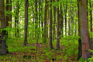 外星人绑架逃脱