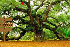 小女孩逃离小岛