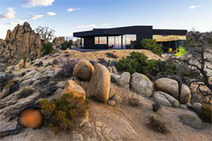 寻找猕猴桃逃脱