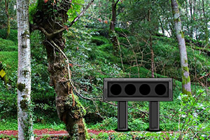 阿布马赫森林逃生