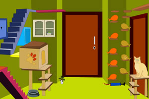 逃离猫咪房间