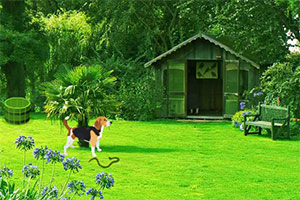 绿色后花园逃脱