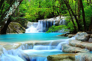 热带原始森林逃脱