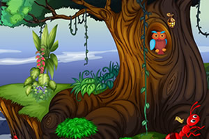 古老森林的宝藏