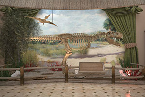 逃出动物博物馆