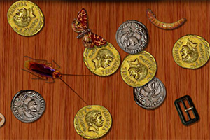 世界金钱大分类