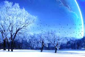 美丽夜空找星星