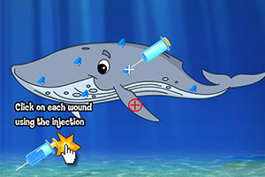 朵拉美人鱼的活动