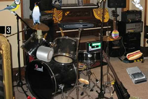 音乐房间找东西