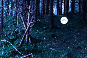 黑暗死亡森林逃脱