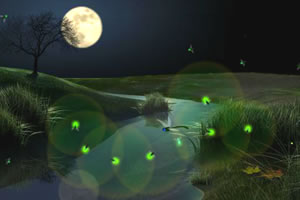 仲夏夜抓萤火虫