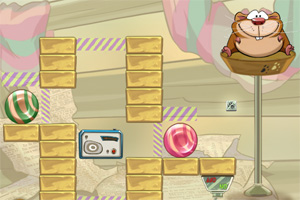 胖豚鼠吃糖加强版