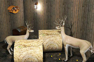 动物饲养屋逃脱