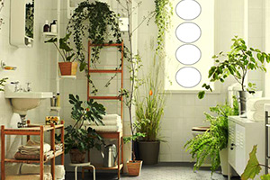 逃离室内植物温室