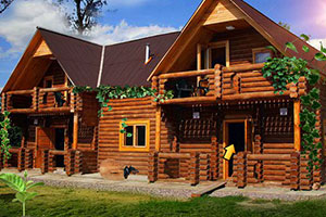 漂亮的木制别墅逃脱