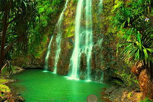 黑夜梦幻森林逃脱