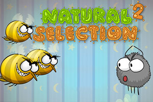 你是我的盘中餐2选关版