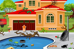 台风后小狗逃脱