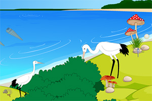 黄色美人鱼逃生