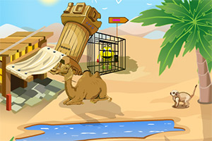 微笑机器人逃出沙漠