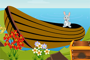 救出岛上的松鼠