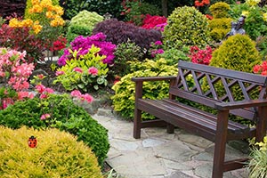 紫罗兰花园逃脱