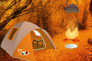 感恩节火鸡逃离森林