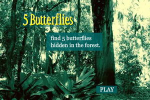 蓝森林寻找花蝴蝶