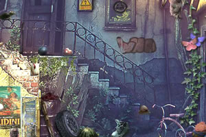 埃尔多尔街寻物