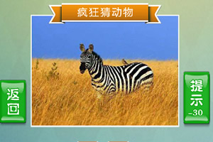 疯狂猜动物