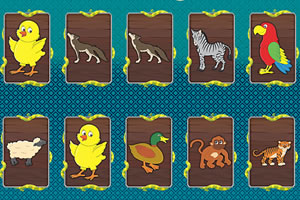 记忆风暴大挑战