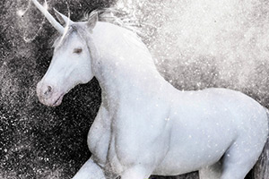 白色独角兽找星星