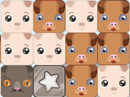 农场动物的魅力