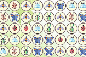 昆虫乐园对对碰