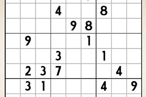 数独挑战