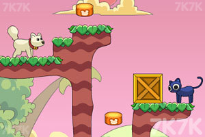 友爱的猫猫与狗狗