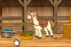 朵拉马场的一天