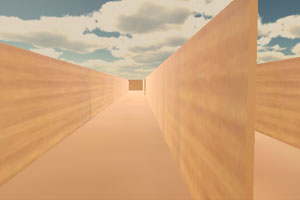 3D迷宫挑战不可能