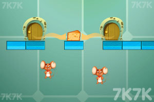 来自奶酪的诱惑