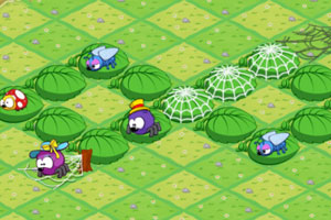 蜘蛛先生求爱记