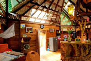 神秘树屋找东西