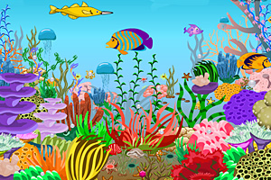 寻找水下的珍珠