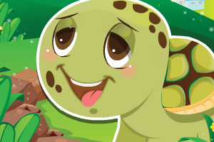 乌龟老鹰找不同