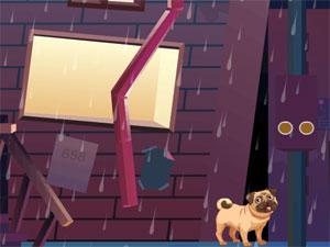 可爱小狗雨中逃脱